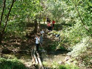 DSC04794.JPG